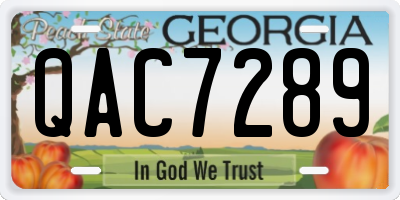 GA license plate QAC7289