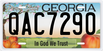 GA license plate QAC7290
