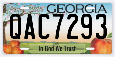 GA license plate QAC7293