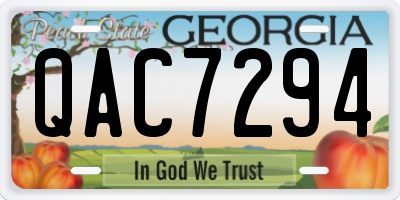 GA license plate QAC7294