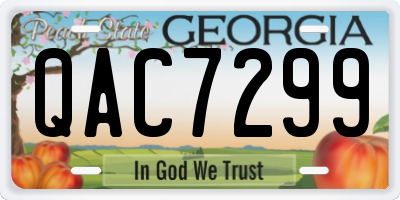 GA license plate QAC7299
