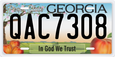 GA license plate QAC7308