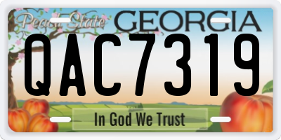 GA license plate QAC7319