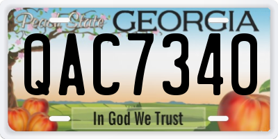 GA license plate QAC7340
