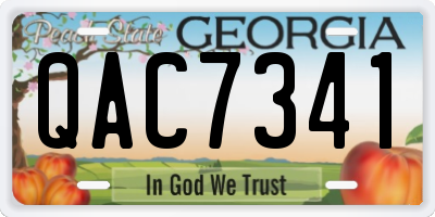 GA license plate QAC7341