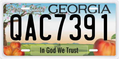 GA license plate QAC7391
