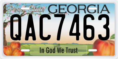 GA license plate QAC7463
