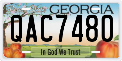 GA license plate QAC7480