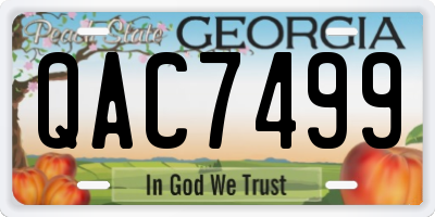 GA license plate QAC7499