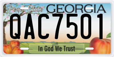 GA license plate QAC7501