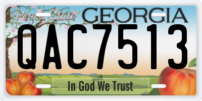 GA license plate QAC7513