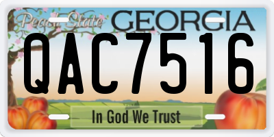 GA license plate QAC7516