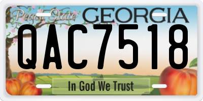 GA license plate QAC7518