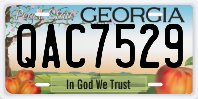 GA license plate QAC7529