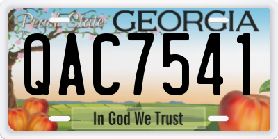 GA license plate QAC7541