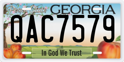 GA license plate QAC7579