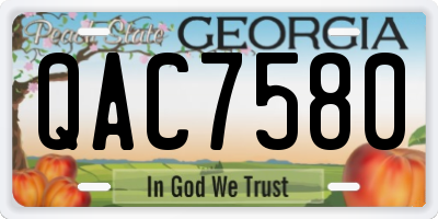 GA license plate QAC7580