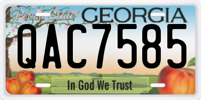 GA license plate QAC7585