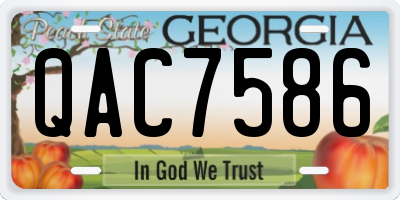 GA license plate QAC7586