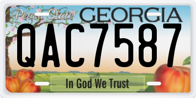 GA license plate QAC7587