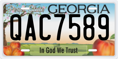GA license plate QAC7589