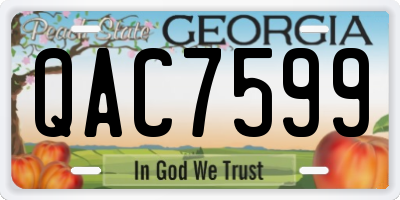 GA license plate QAC7599