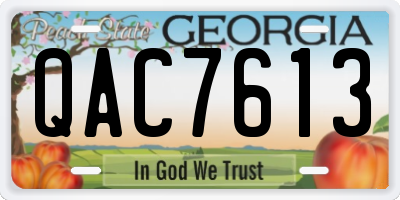 GA license plate QAC7613
