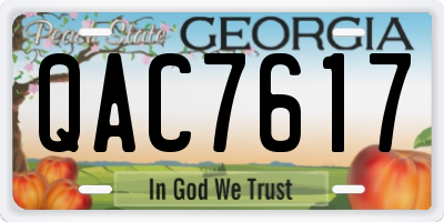 GA license plate QAC7617