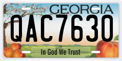 GA license plate QAC7630