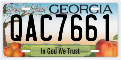 GA license plate QAC7661