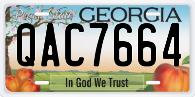 GA license plate QAC7664
