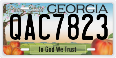 GA license plate QAC7823
