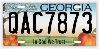 GA license plate QAC7873