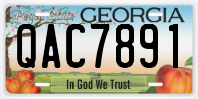 GA license plate QAC7891