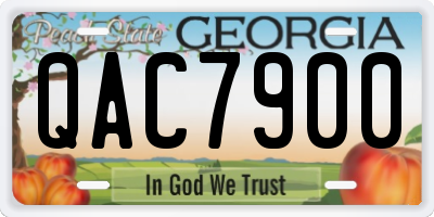 GA license plate QAC7900