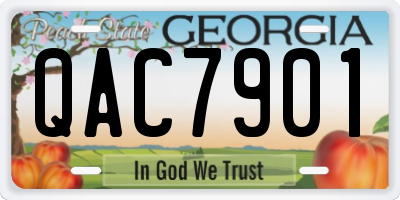GA license plate QAC7901