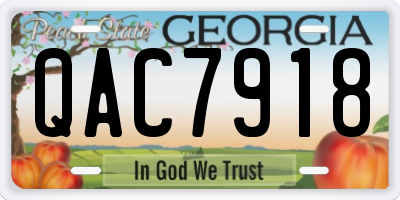 GA license plate QAC7918