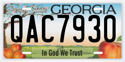 GA license plate QAC7930