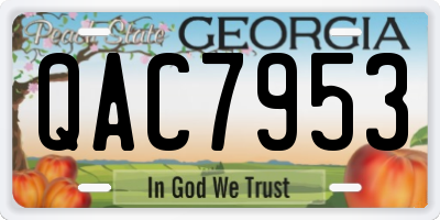 GA license plate QAC7953