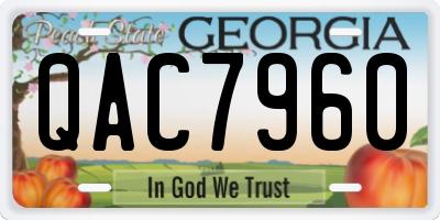 GA license plate QAC7960
