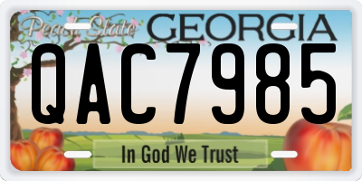 GA license plate QAC7985