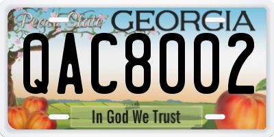 GA license plate QAC8002