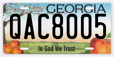 GA license plate QAC8005