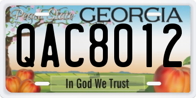 GA license plate QAC8012