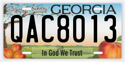 GA license plate QAC8013