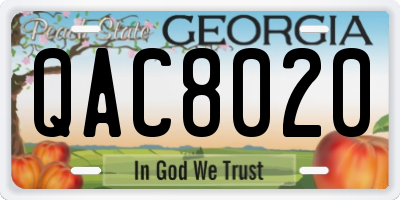 GA license plate QAC8020