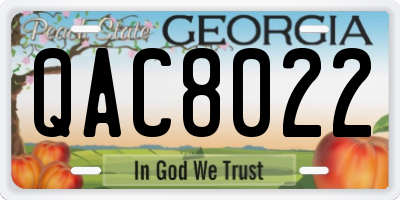 GA license plate QAC8022