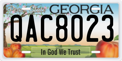 GA license plate QAC8023