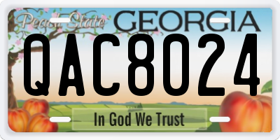 GA license plate QAC8024