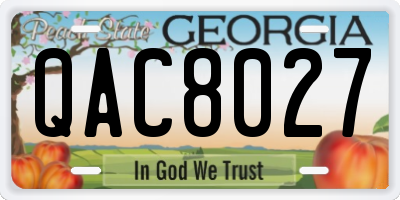 GA license plate QAC8027